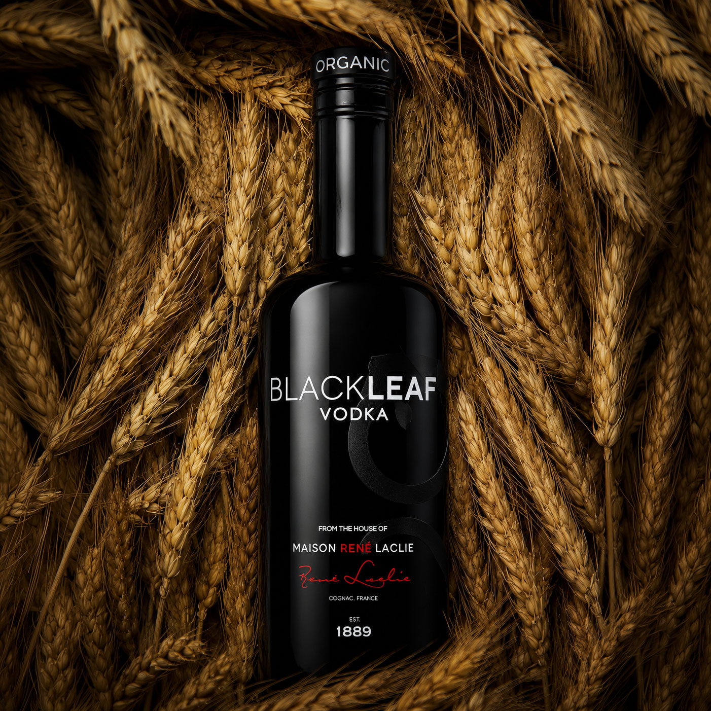 Placeholder spirits bottle and bar image