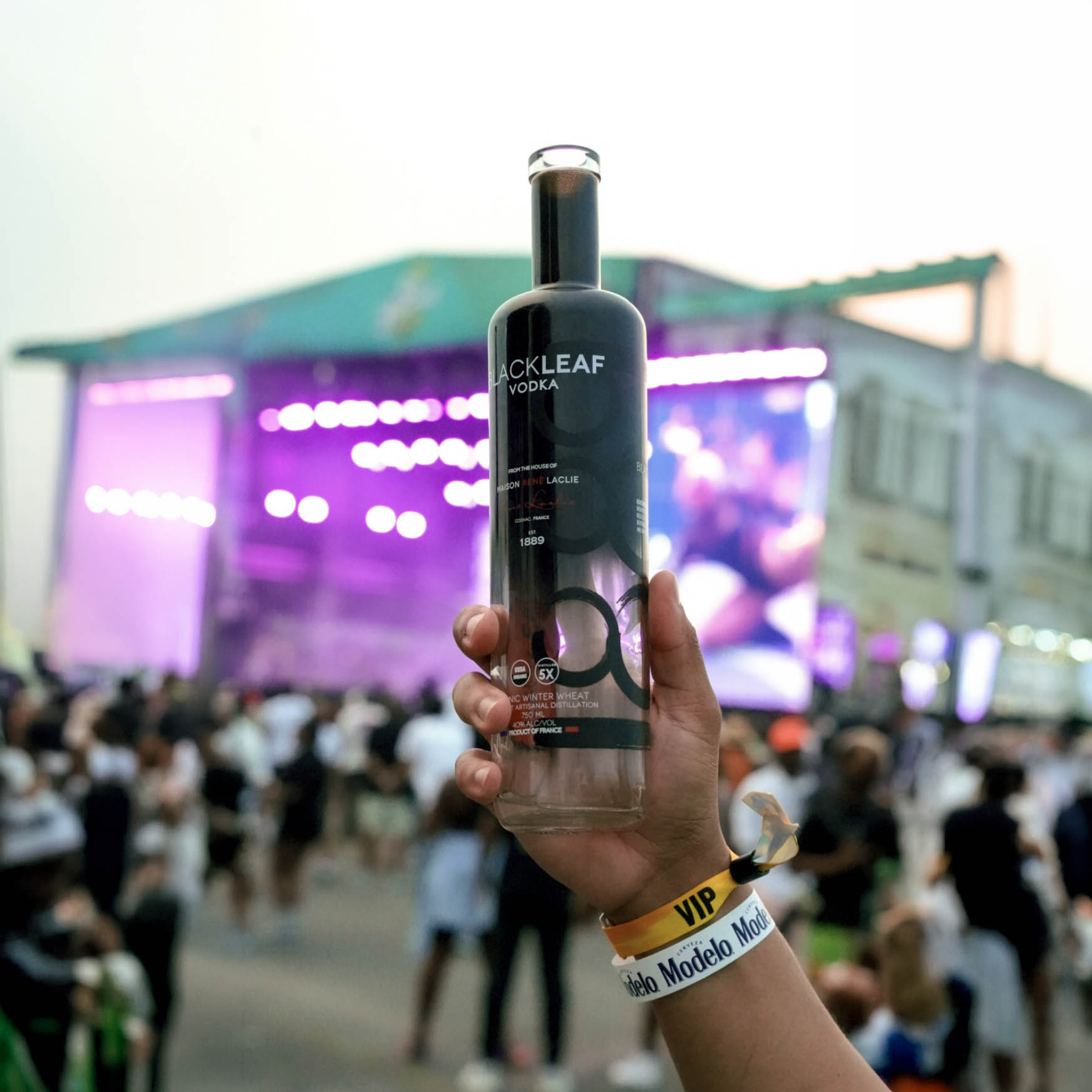 Blackleaf Organic Vodka gallery image 6